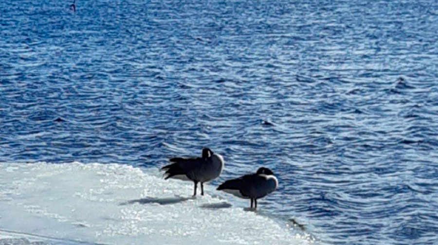 Oppimisen tuen uudistus on edennyt Heinolassa, päätöksenteon on tuettava uudistuksen onnistumista