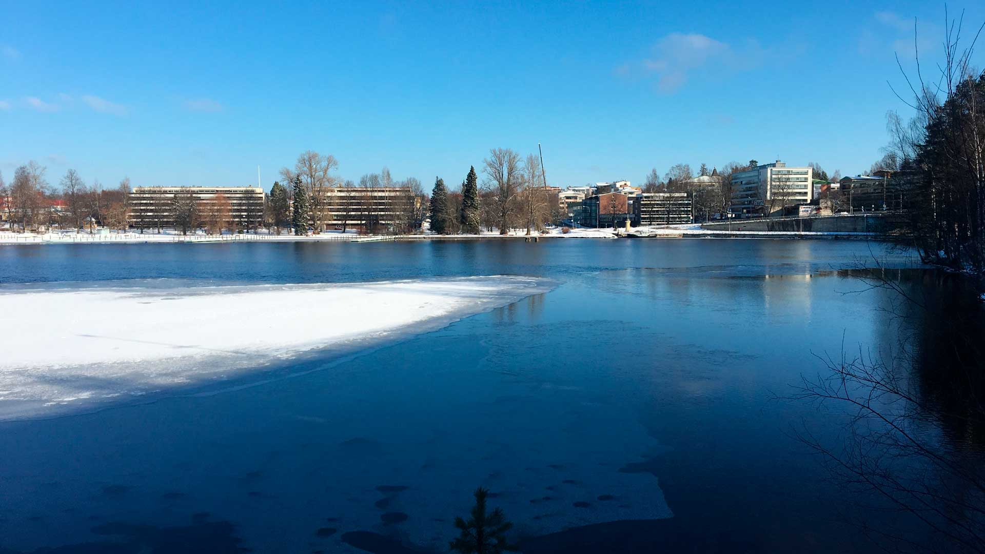 Julkisen palvelun merkitys hyvinvointimme turvaamisessa