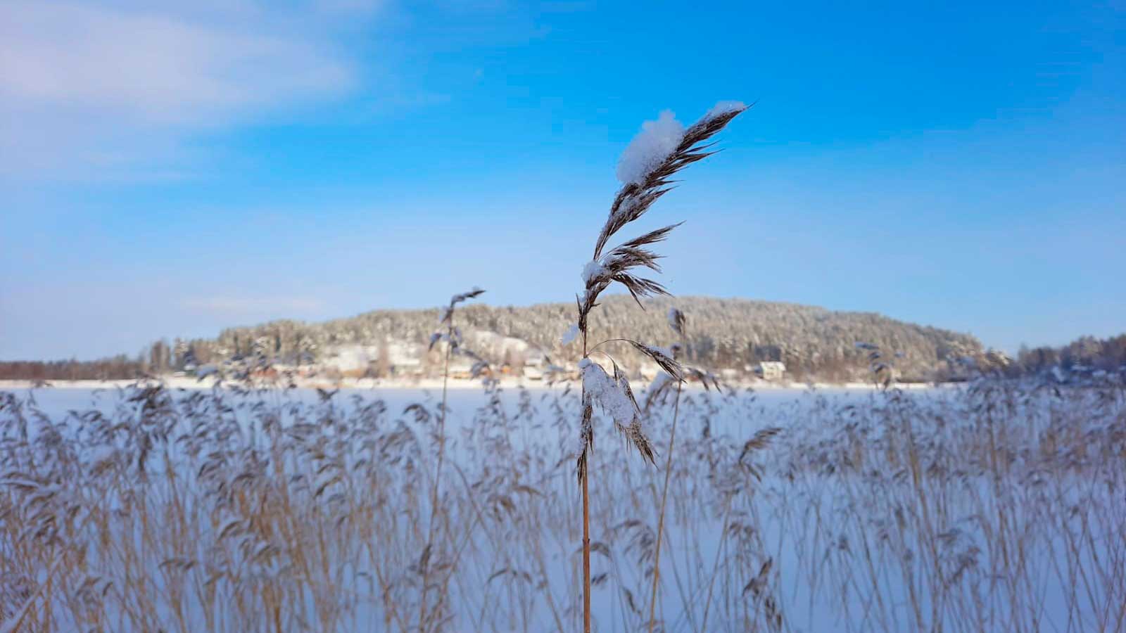 Merkityksellisyyden kokemus vapaaehtoistyössä