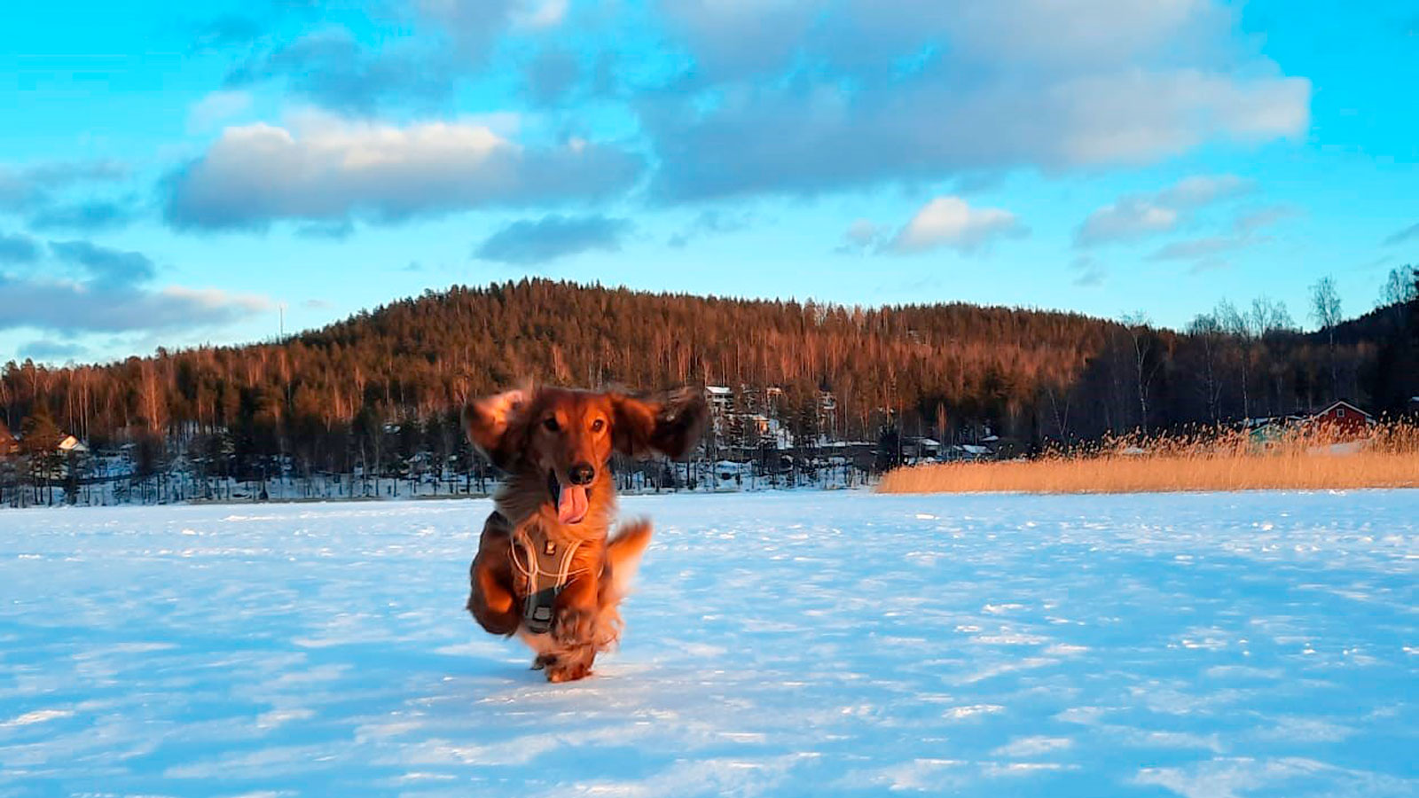 Tulevaisuus tuo uudistuksia työvoimapalveluihin