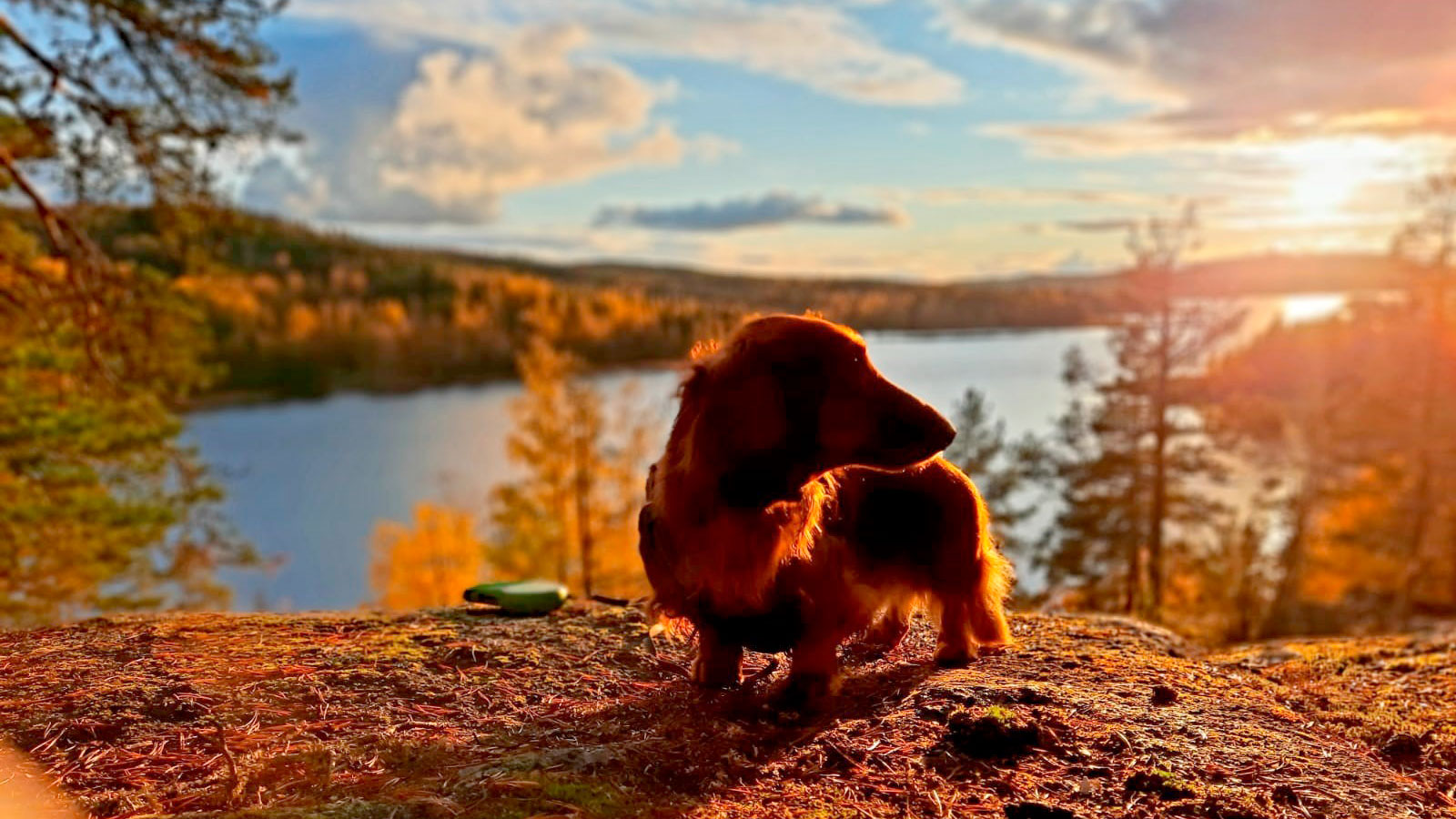 Kuntien ja hyvinvointialueiden huolehdittava perustehtävästään – asukkaiden terveydestä ja hyvinvoinnista